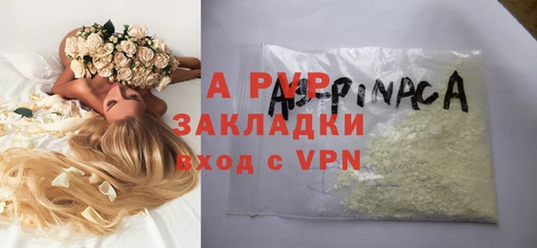 сатива Магас
