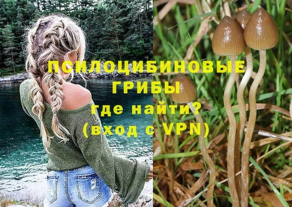 a pvp Магадан