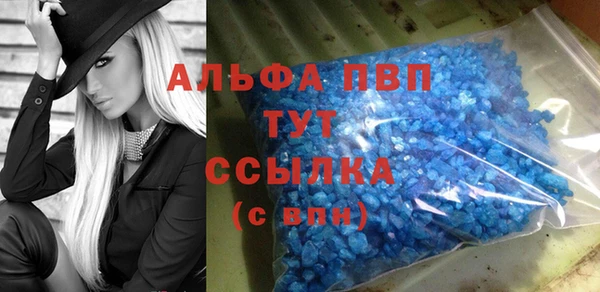 сатива Магас