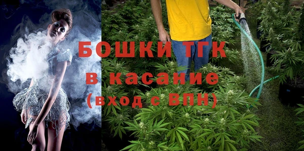 сатива Магас