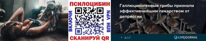 цены   Новосиль  блэк спрут ТОР  Псилоцибиновые грибы Psilocybine cubensis 